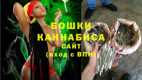 шишки Заволжье
