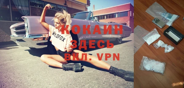 шишки Заволжье