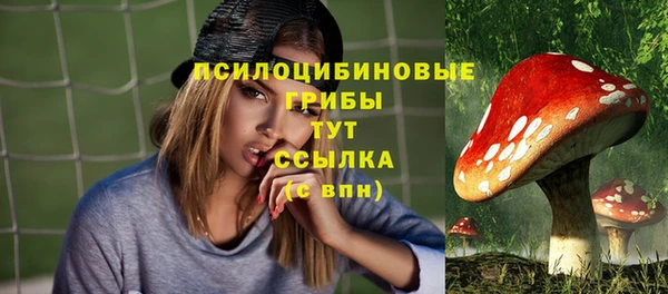 мяу мяу мука Ельня