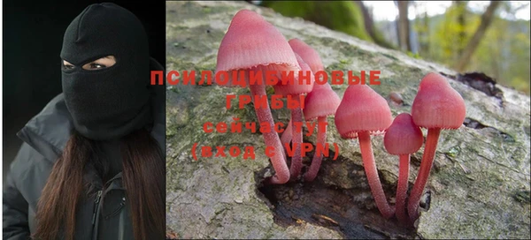 COCAINE Елабуга
